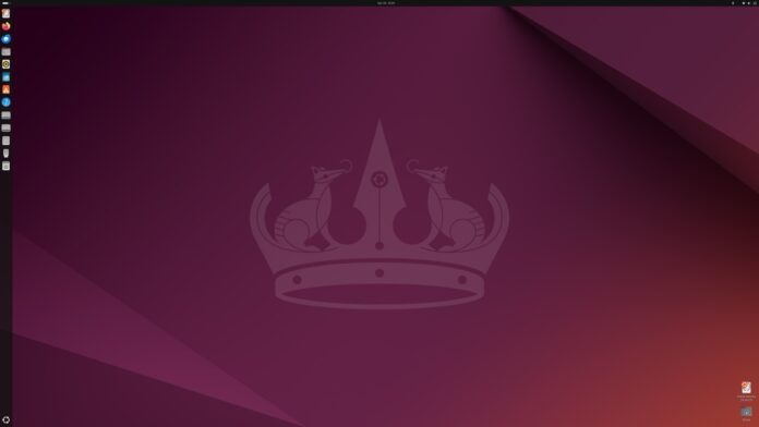 Ubuntu 24.04 Running Large