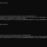 Lenovo Marvell FastLinQ QL41000 Lshw