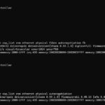 Lenovo Marvell FastLinQ QL41000 Lshw Network