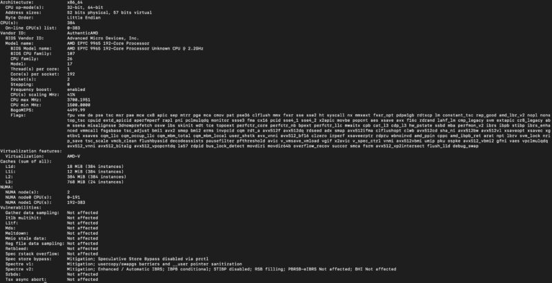 AMD EPYC 9965 lscpu output