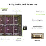 Scaling the Blackwell Architecture