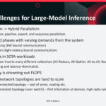 Scaling Challenges for Large-Model Inference