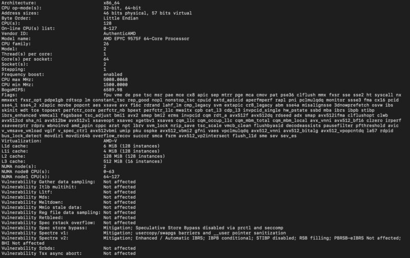 AMD EPYC 9575F Lscput Output