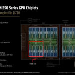 Accelerator Complex Die (XCD)