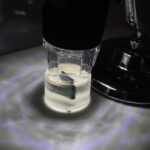 Kioxia 32 Die Stack BiCS 8 Microscope Large