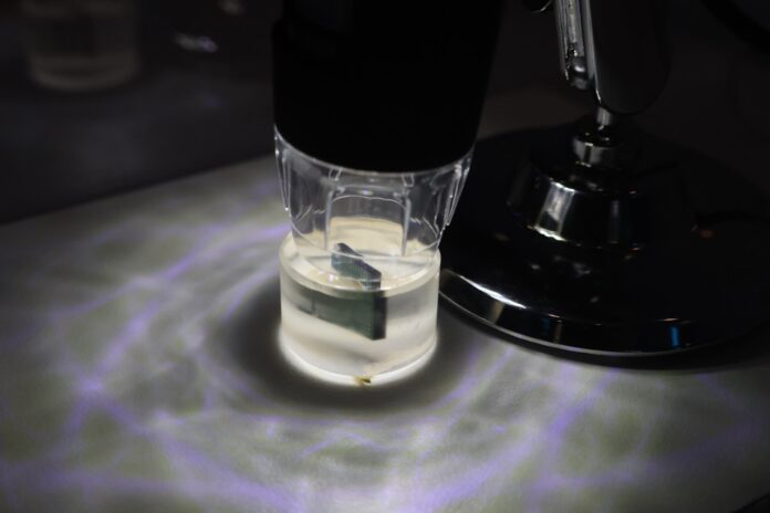 Kioxia 32 Die Stack BiCS 8 Microscope Large