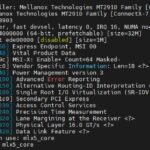 NVIDIA ConnectX 7 4x SFP56 Adapter Lspci Vv