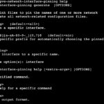 Proxmox VE 9 Pve Network Interface Pinning Help
