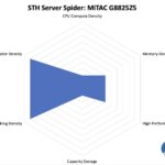 STH Server Spider MiTAC G8825Z5