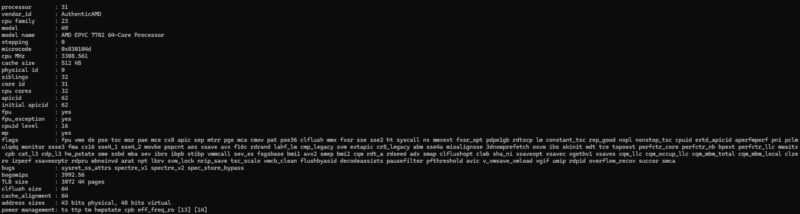 AMD EPYC 7702 In QNAP TS H1290FX Lscpu Large