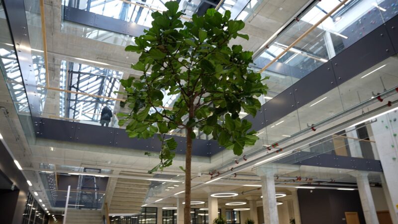 MikroTik Office Atrium Riga Latvia Large