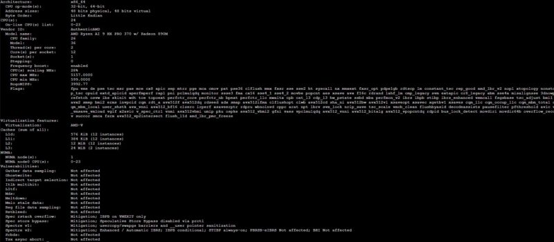 AMD Ryzen AI 9 HX PRO 370 Lscpu