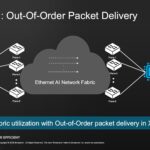 Broadcom Thor Ultra Out Of Order Packet Delivery