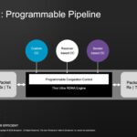Broadcom Thor Ultra Programmable Pipeline