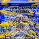 Meta IcePack At OCP 2025 2