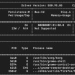 NVIDIA DGX Spark Nvidia Smi