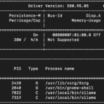 NVIDIA GB10 Nvidia Smi Ollama Gpt Oss 20b And Gpt Oss 120b