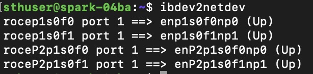 Two NVIDIA DGX Spark With RoCE