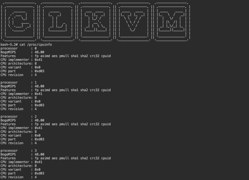 GL INet PoE Bash Cpuinfo