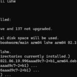 Minisforum MS R1 Apt Install Lshw