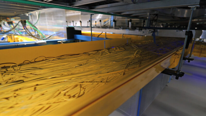 24 Inch Fiber Tray From Above