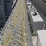 Equinix SV11 Generators