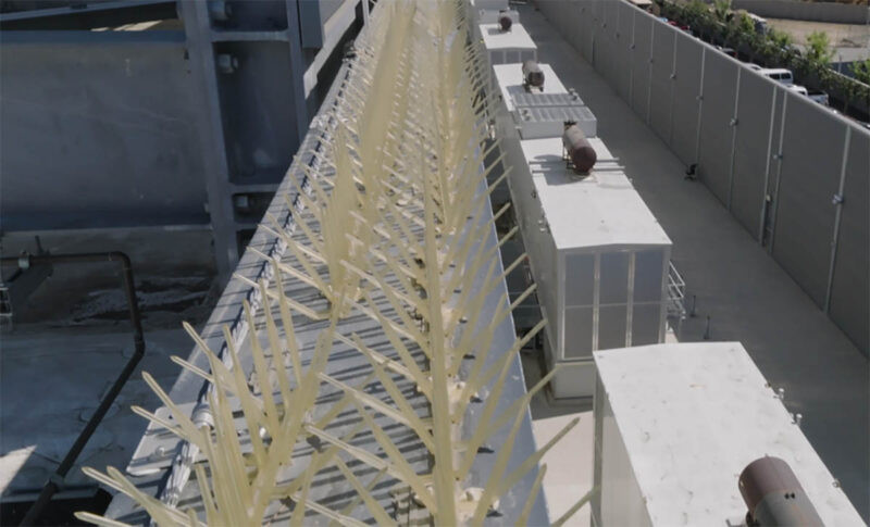 Equinix SV11 Generators