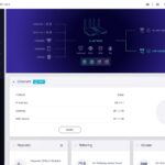 GL.iNet Flint 2 Web UI WAN
