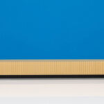 NVIDIA ConnectX 8 20