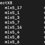 NVIDIA ConnectX 8 SuperNIC 2x C8240 In A System Mst