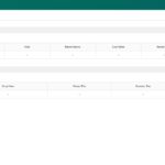 TP Link ER8411 IPSec VPN