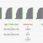TP Link TL SX1008 STH IxNetwork 256B 100 Percent