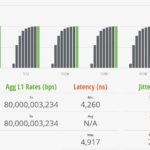 YuanLey STH IxNetwork 1518B 100 Percent