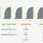 YuanLey STH IxNetwork 256B 100 Percent
