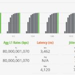 YuanLey STH IxNetwork 512B 100 Percent