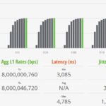 YuanLey STH IxNetwork 64B 100 Percent