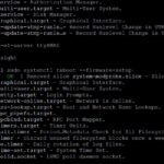 Xsight Labs E1 DPU Ubuntu Installation Step 1 Boot To BIOS
