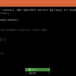 Xsight Labs E1 DPU Ubuntu Installation Step 10 Install OpenSSH Server