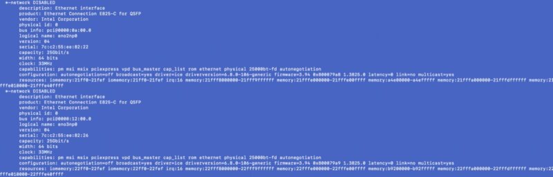 Intel E825C QSFP lshw output