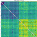 Intel Xeon 6767P Socket 0 Core To Core Latency Copy
