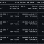 NVIDIA Blackwell Ultra Nvidia Smi