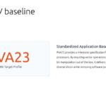 Canonical RISC-V baseline