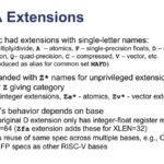 SiFive ISA Extensions