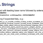 SiFive ISA Strings