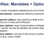 SiFive Profiles: Mandates + Options