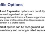 SiFive Profile Options