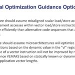 SiFive Initial Optimization Guidance Options