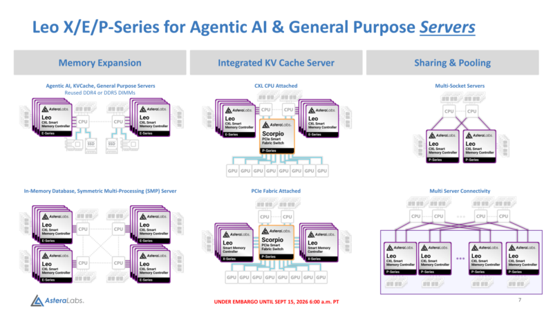 Leo Smart Memory Controllers - Topologies and Use Cases