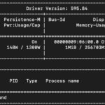 NVIDIA GB300 Station nvidia-smi
