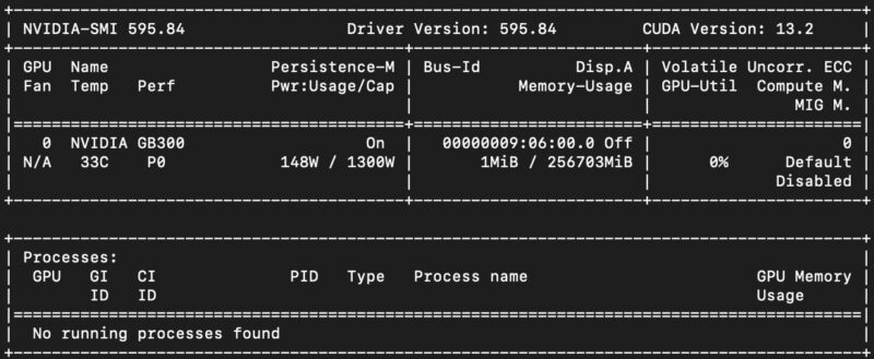 NVIDIA GB300 Station nvidia-smi
